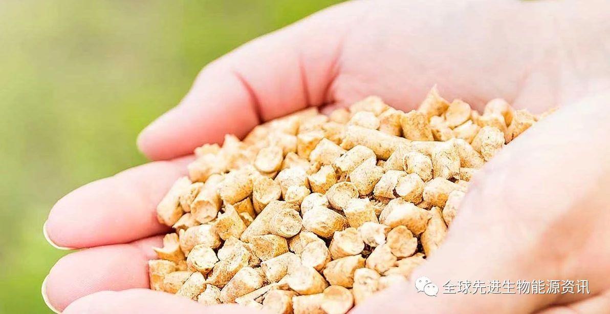 木質ペレット wood pellet